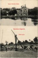 1911 Dég, Dégh; Sziget, Schweitzi ház (Svájci-ház, ma Hollandi-ház) a Festetics kastély parkjában, D...