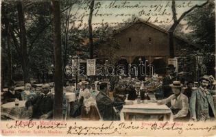 1903 Mezőtúr, Erzsébet ligeti mulató. Gettler Ignác kiadása (fa)