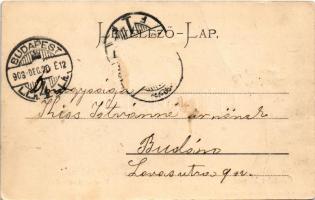 1903 Mezőtúr, Erzsébet ligeti mulató. Gettler Ignác kiadása (fa)