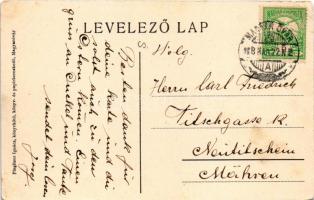 1916 Mosonmagyaróvár, Magyaróvár; Tölténygyár. Pingitzer Ignác kiadása (EK)