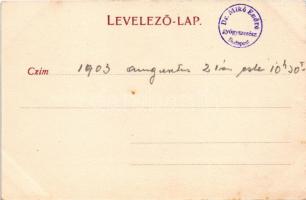 1903 Veszprémvarsány, Evangélikus templom és iskola, Körorvos lak, Nagyvendéglő. Kertay László kiadá...