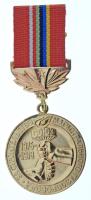 Szovjetunió 1978. "A Szojuz Gázvezeték építésének emlékére 1975-1978" aranyozott fém kitün...