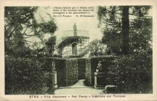 Stra Villa Nazionale labyrinth (EK)