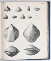 Abhandlungen der königlichen böhmischen Gesellschaft der Wissenschaften. Fünfte Folge, 10. Band, Von...