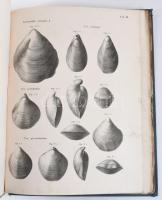 Abhandlungen der königlichen böhmischen Gesellschaft der Wissenschaften. Fünfte Folge, 10. Band, Von...
