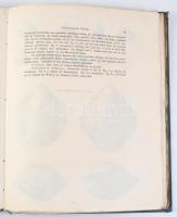 Abhandlungen der königlichen böhmischen Gesellschaft der Wissenschaften. Fünfte Folge, 10. Band, Von...