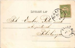 1904 Óradna, Alt-Rodna, Radna veche, Rodna; Főszolgabírói hivatal és lak, Bányahivatal / judge'...