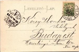 1902 Oravicabánya, Oravica, Oravicza, Oravita; látkép. Kaden József kiadása / general view + "O...