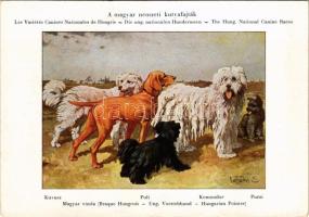 Magyar Nemzeti Kutyafajták. A Magyar Ebtenyésztők Országos Egyesületének kiadása. Kuvasz, Magyar Vizsla, Puli, Komondor, Pumi / Hungarian dog breeds s: Vezényi E.