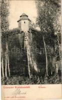 1902 Komárom, Komárno; Kőszűz a várban. Czike Dénes kiadása / Steinerner Jungfrau / castle, monument (EK)