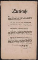 1848. jún. 24. Esztergom, rögtönítélő bíróság hirdetménye a bíróság hatáskörébe tartozó "gonosz...