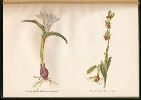 Horvát Rudolf: Képek a Mecsek növényéletéből. Pécs, 1942, Ciszterci Rend. 103p. Újrakötött egészvász...