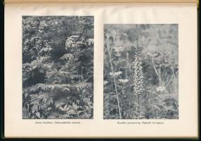 Horvát Rudolf: Képek a Mecsek növényéletéből. Pécs, 1942, Ciszterci Rend. 103p. Újrakötött egészvász...