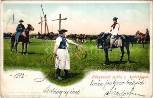 1901 Hortobágy, pányavető csikós. Pongrácz Géza kiadása, Kiss Ferenc eredeti fényképe után (EM)