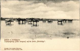 Hortobágy, délibáb. Pongrácz Géza kiadása, Kiss Ferenc felvétele / Fata morgana