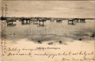 1906 Hortobágy, délibáb. Pongrácz Géza kiadása, Kiss Ferenc felvétele + "NAGY-LÉTA - DEBRECZEN 204. SZ." vasúti mozgóposta bélyegző (EK)