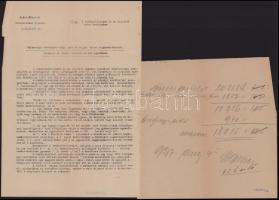 ca 1930 5 db székesfehérvári vonatkozású vadászattal kapcsolatos nyomtatvány Vadász eskű, kimutatás,...