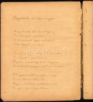 1908 Kassa, katona naplója, katonaidejéről, Szarka Géza. 161 magyar nyelven beírt oldal