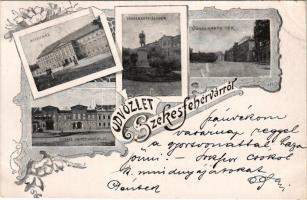 1898 Székesfehérvár, Vörösmarty szobor és tér, Ferenc József nőnevelde, Megyeház. Art Nouveau, flora...