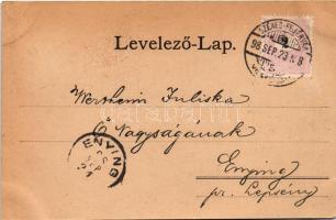 1898 Székesfehérvár, Vörösmarty szobor és tér, Ferenc József nőnevelde, Megyeház. Art Nouveau, flora...