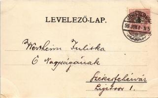 1898 Székesfehérvár, Városház, Püspöki palota, Tűzoltó laktanya, Izraelita templom, zsinagóga. Kaufm...