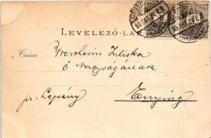 1898 Székesfehérvár, Kossuth utca, Kegyelet gyógyszertár. Klökner Péter kiadása