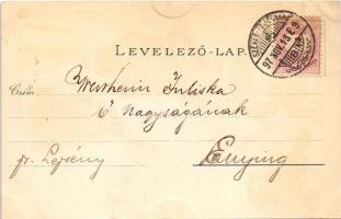 1897 Székesfehérvár, Vörösmarty szobor, Püspöki palota, Megyeház, Színház, Nádor utca. Klökner Péter...