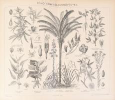 cca 1900 Vegyes képtáblák a Pallas Nagy Lexikonából (fűszernövények, fűtőszerkezetek, fonóeszközök é...