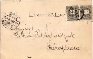 1898 Siklós, Városháza, vár, Központi szálloda és kávéház, Takarék és Hitelegylet, piac, üzletek. Fe...