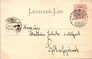 1898 Sopron, Színház, városháza, kaszinó. Thiering Gyula kiadása. Art Nouveau, floral