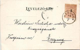 1899 Rád, üdvözlet, villa, nyaraló. Pesti Könyvnyomda r.t. kiadása (vágott / cut)