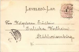 1898 Újvidék, Novi Sad; Fő utca, üzletek. Stengel &amp; Co. (Dresden)