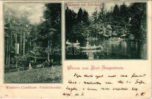 Glucholazy, Bad Ziegenhals; Winkler's Conditorei Friedrichsruhe, Waldteich mit Erholung / confe...