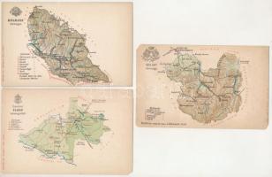 16 db RÉGI magyar motívum képeslap: Károlyi Gy. vármegye térképek, több javított vagy sérült, duplik...