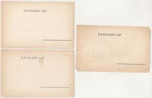 16 db RÉGI magyar motívum képeslap: Károlyi Gy. vármegye térképek, több javított vagy sérült, duplik...