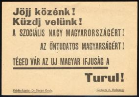 cca 1930 "Jöjj közénk! Küzdj velünk! A szociális Nagy Magyarországért! [...]", a Turul Szövetség egyetemi ifjúsági szervezet röplapja, 10x15 cm
