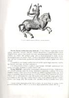 Szendrei János: 
A magyar viselet történeti fejlődése. 174 szövegközti képpel és hat táblával.
Bud...