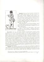 Szendrei János: 
A magyar viselet történeti fejlődése. 174 szövegközti képpel és hat táblával.
Bud...