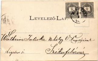 1898 Zalaegerszeg, M. kir. állami főgimnázium. Fénynyomat Divald műintézetből. Art Nouveau, floral (...