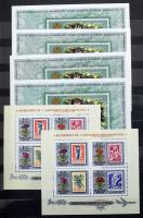 144 db magyar blokk az 1970-1975 közötti időszakból, benne másodpéldányok, 12 lapos Philux A4-es berakóban. Szép anyag!