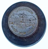 Lapis András (1942-) 1980 k. "Szeged / Szeged Tourist" emlékérem előlapi verőtő, készült a...