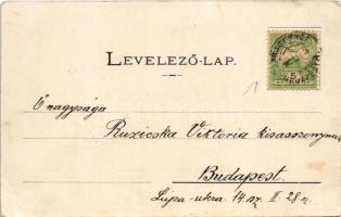 1902 Balatonberény, Balaton-Berény; villatelep. Neumark Adolf kiadása (EB)