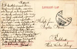 1915 Keszthely, látkép. Mérei Ignác kiadása (EB)