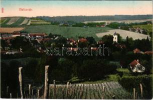 Baltavár, Bérbaltavár; látkép, szőlőhegy. Mayer József kiadása 8508