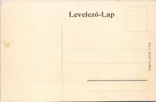 Baltavár, Bérbaltavár; látkép, szőlőhegy. Mayer József kiadása 8508