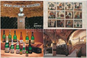 Codorniu - 16 db MODERN borászat képeslap / 16 modern winery, wine cellar postcards