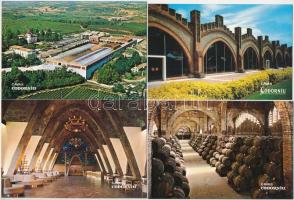 Codorniu - 16 db MODERN borászat képeslap / 16 modern winery, wine cellar postcards