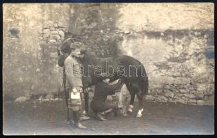 ca 1916 I. világháború lófejés fotólap