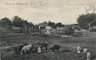 Szentes külterületi tanyák