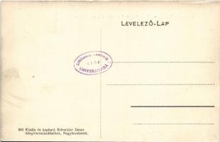 Nagybecskerek, Zrenjanin, Veliki Beckerek; Béga részlet, Erzsébet híd és sörház (Dungyerszky sörgyár...